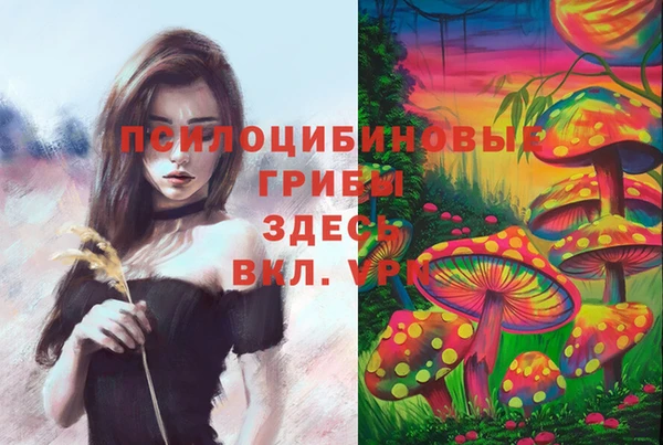 а пвп мука Белокуриха